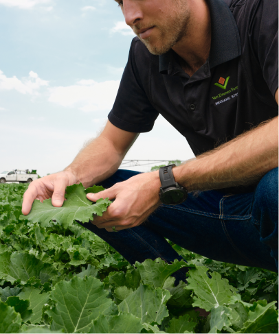 Nos asociamos con los mejores cultivadores