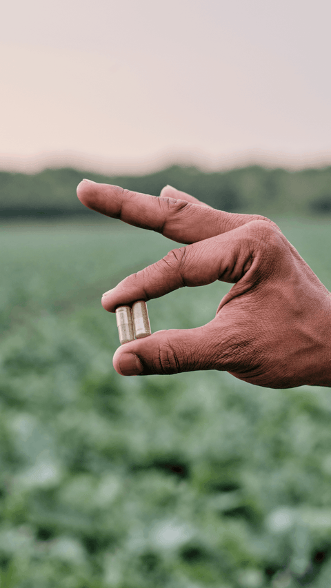 Protegemos los beneficios de las plantas en nuestras cápsulas vegetales 